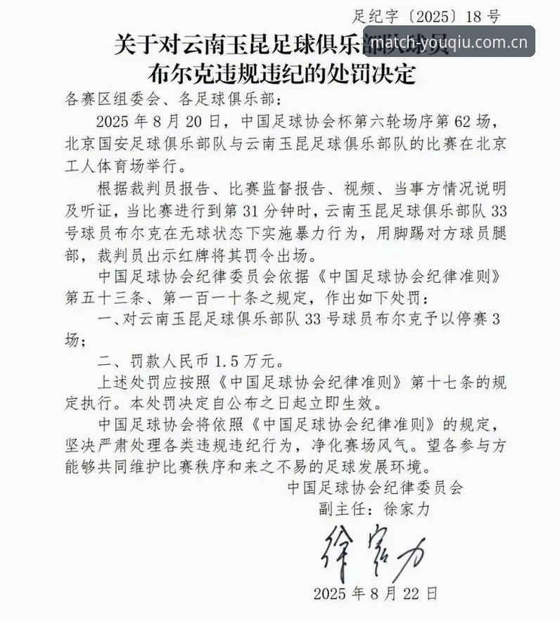 足协第三批禁足名单完整解读：从处罚细节看中国足球的自我净化之路